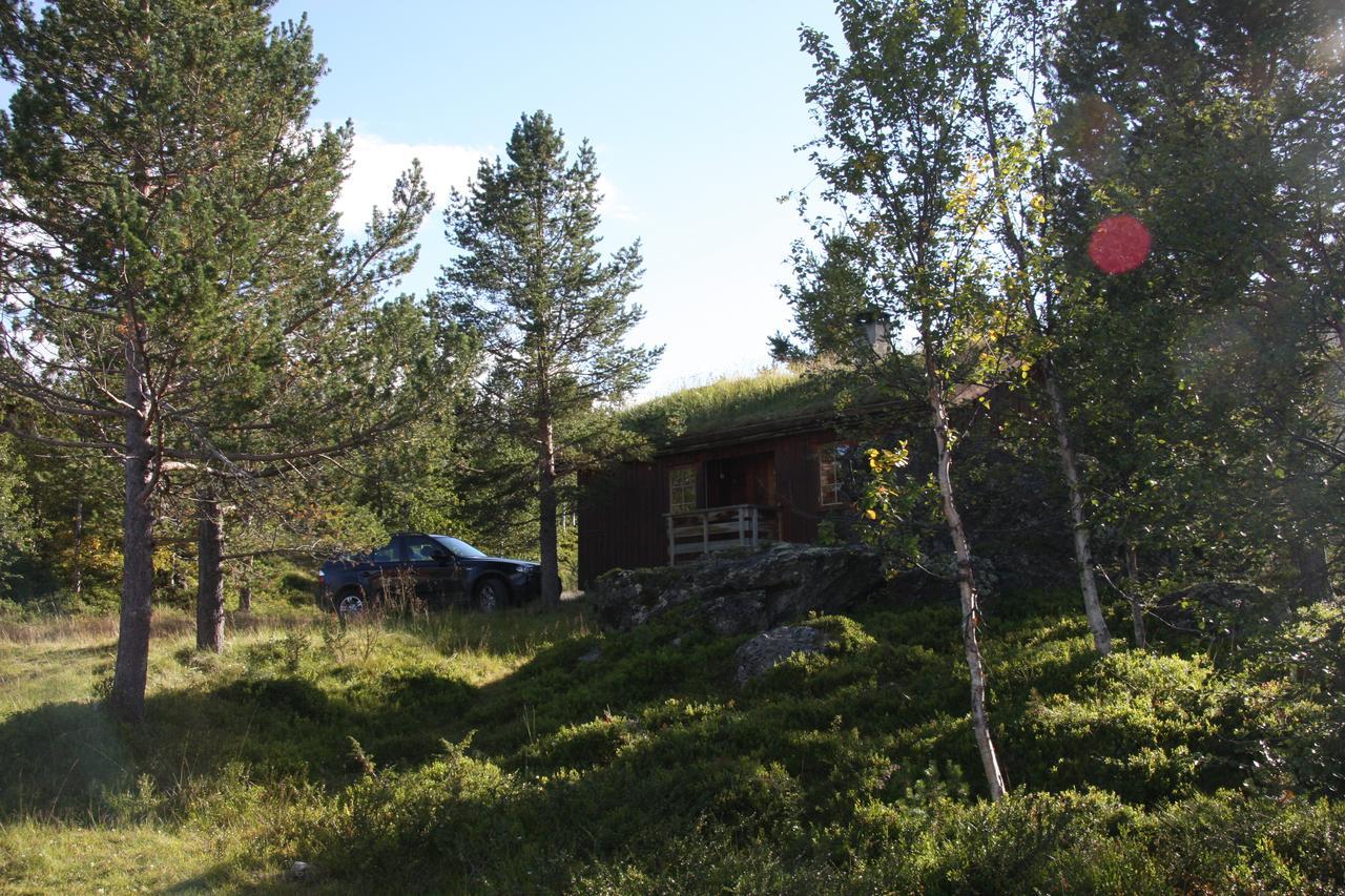 Lemonsjo Fjellstue Og Hyttegrend Randsverk Exterior photo