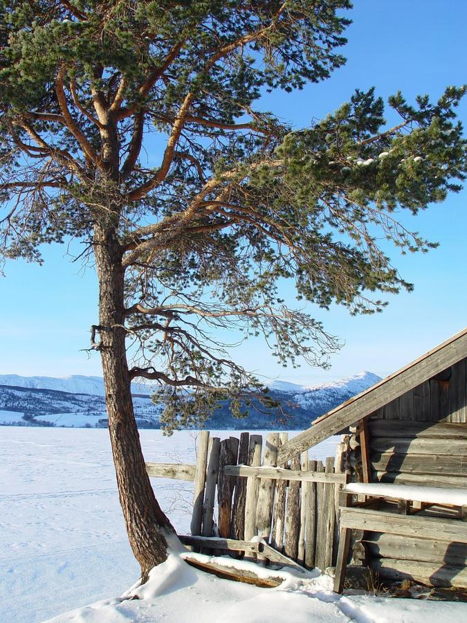 Lemonsjo Fjellstue Og Hyttegrend Randsverk Exterior photo